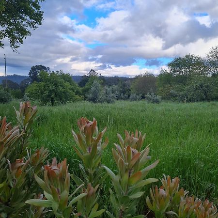 Quinta Jr - Casa De Campo Carregal  外观 照片