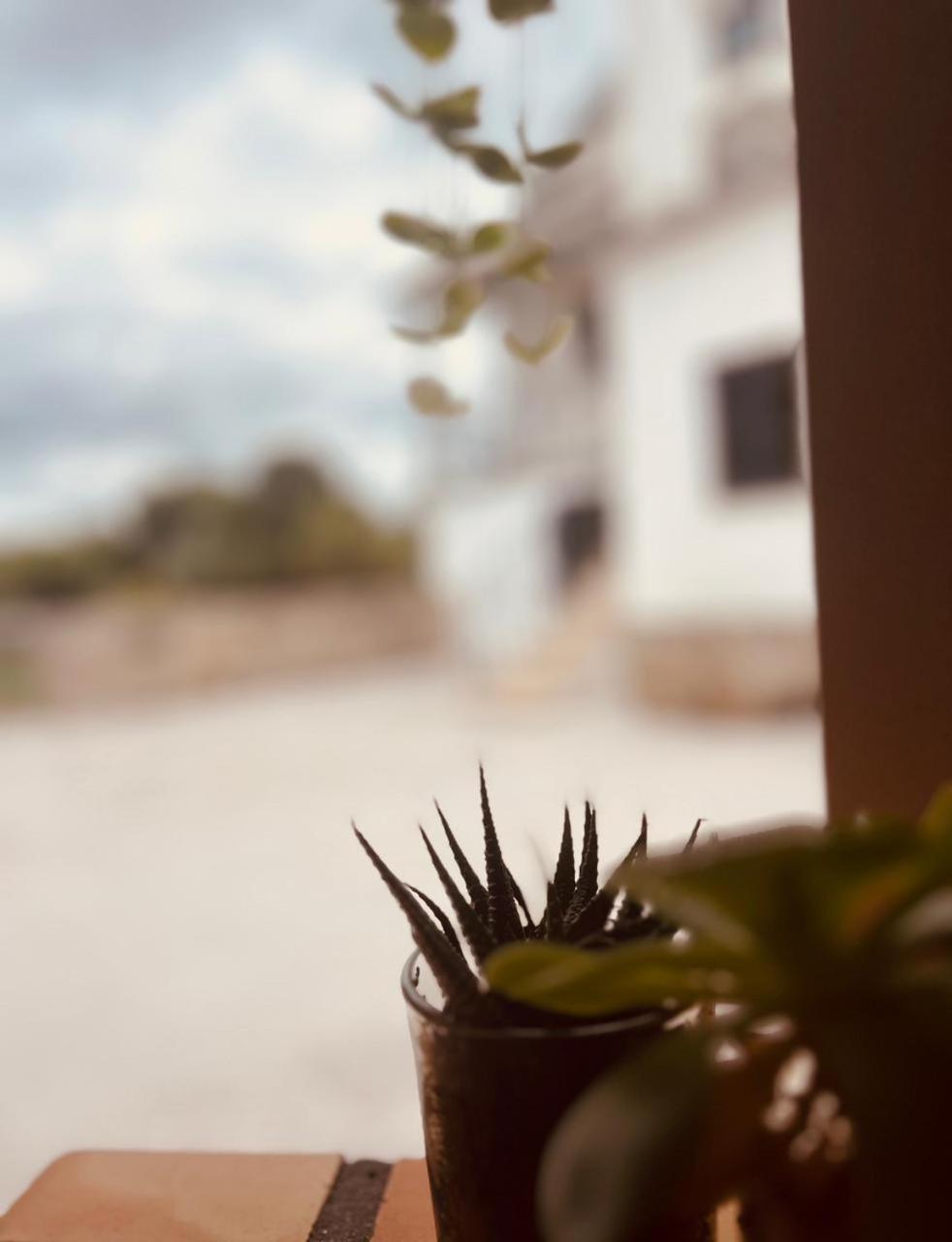 Quinta Jr - Casa De Campo Carregal  外观 照片